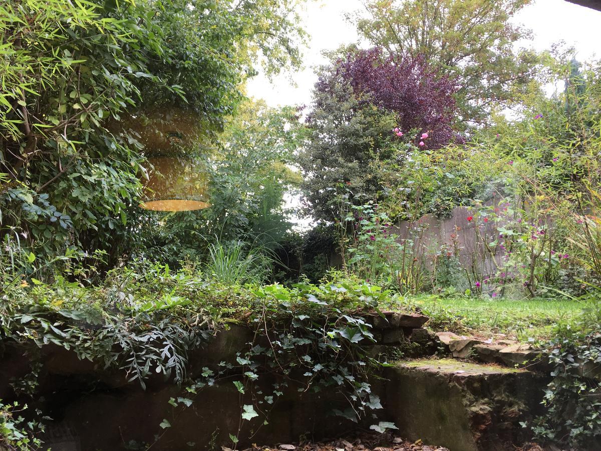 La Maison Du Bulot Fruges Dış mekan fotoğraf